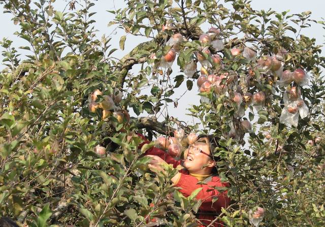 日出水了啊快点使劲动态图