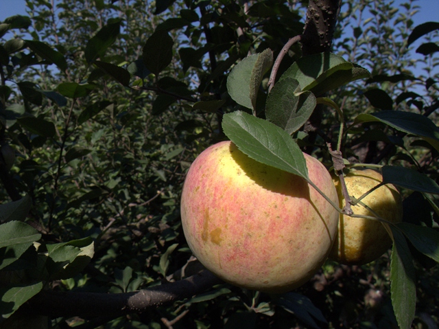 日出水了啊快点使劲动态图