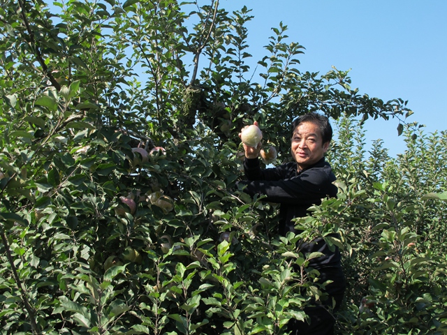 日出水了啊快点使劲动态图