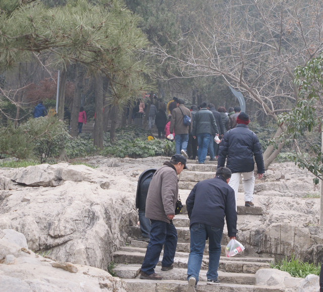 日出水了啊快点使劲动态图