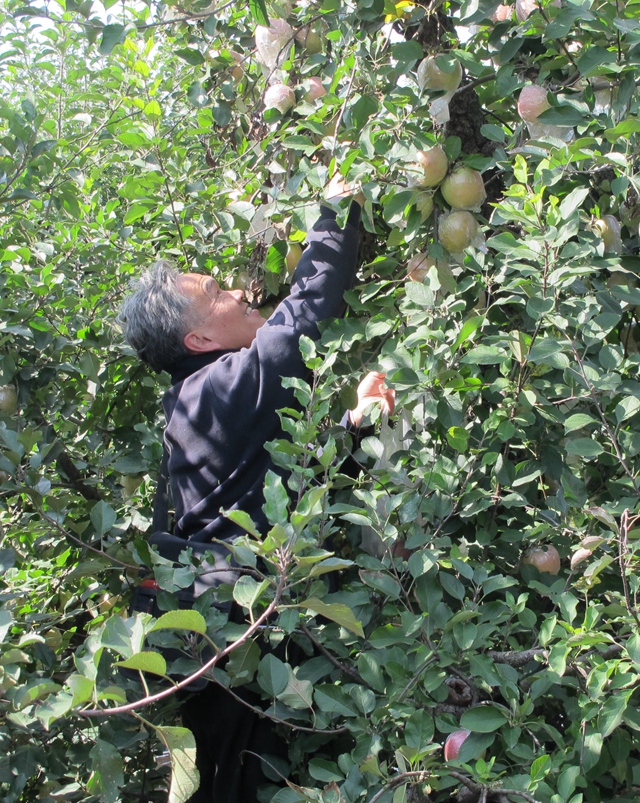 日出水了啊快点使劲动态图