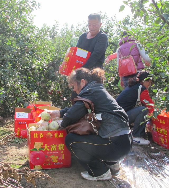 日出水了啊快点使劲动态图