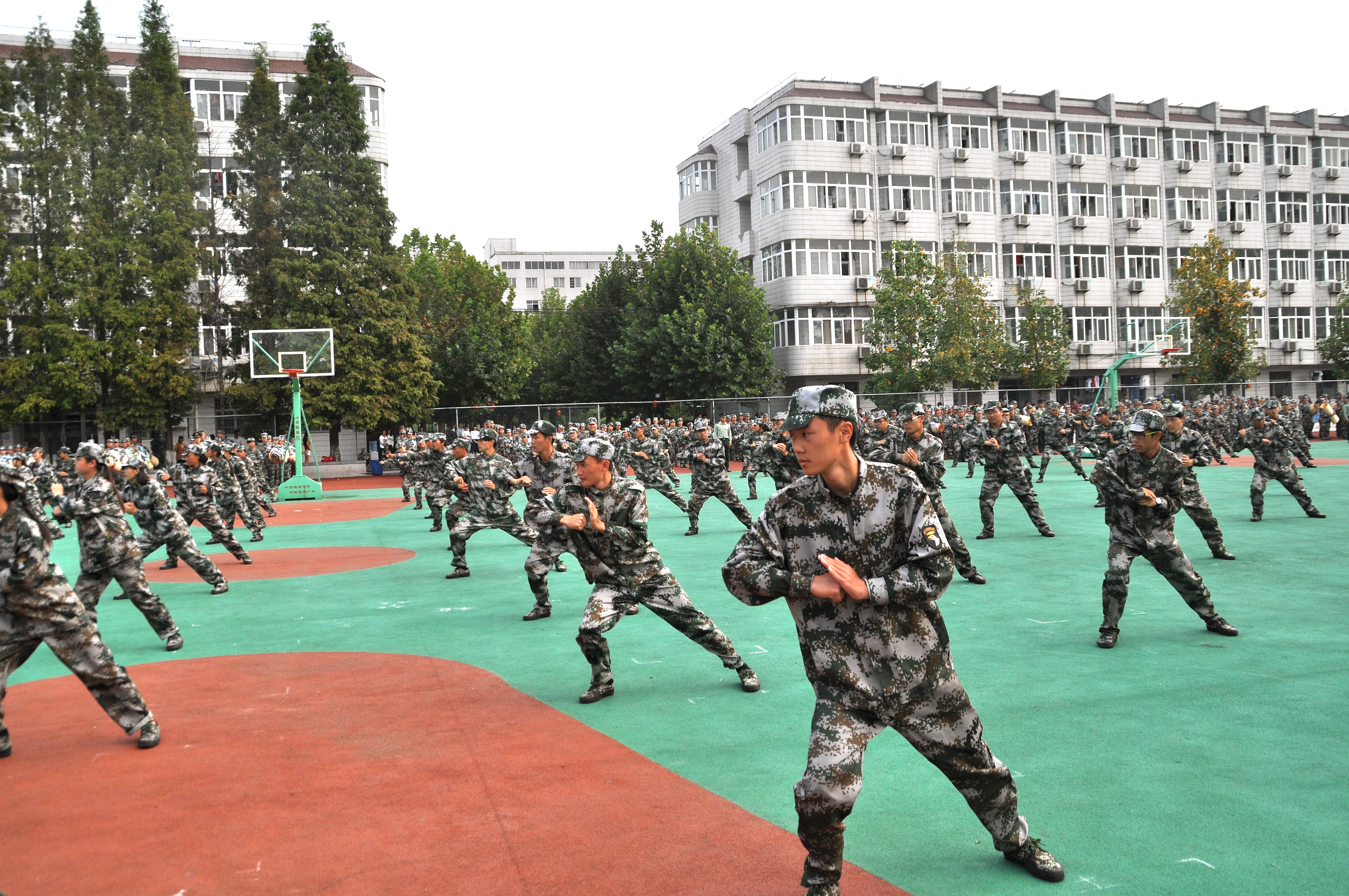 日出水了啊快点使劲动态图