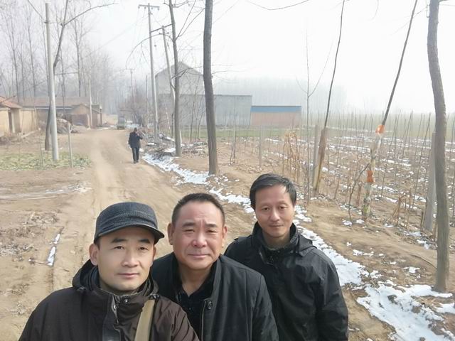 日出水了啊快点使劲动态图