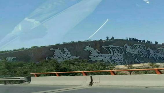 日出水了啊快点使劲动态图,女m被S玩胸虐乳哭着求饶,调教玩弄胯下性奴唐舞桐,春药按摩人妻中文字幕,怡红院AV一区二区三区•江苏城市职业学院（徐州办学点）  2017年度读书节活动工作总结