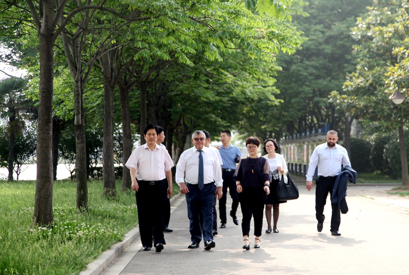 日出水了啊快点使劲动态图