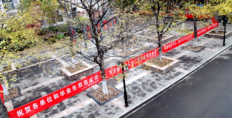 日出水了啊快点使劲动态图