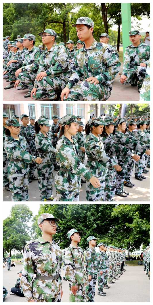 日出水了啊快点使劲动态图