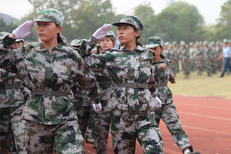 日出水了啊快点使劲动态图