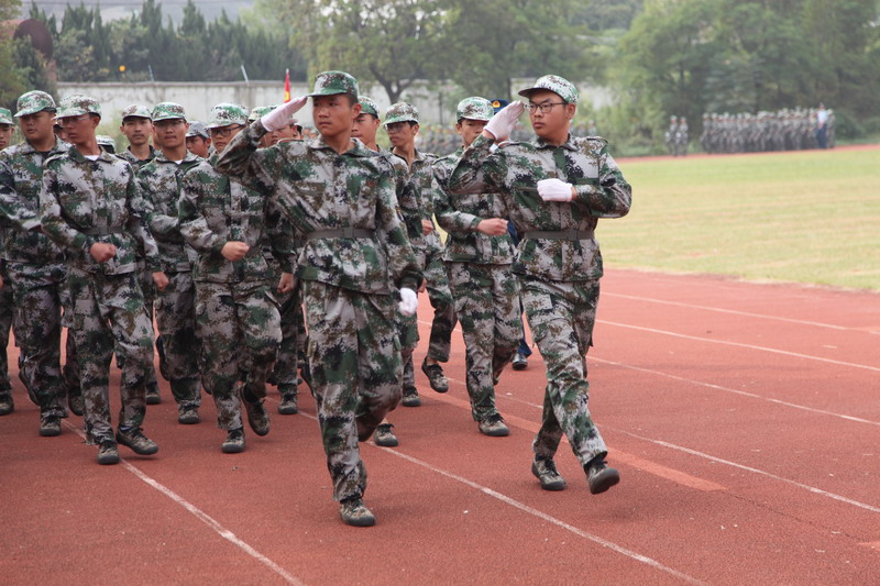 日出水了啊快点使劲动态图