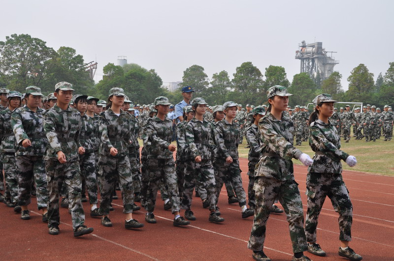 日出水了啊快点使劲动态图