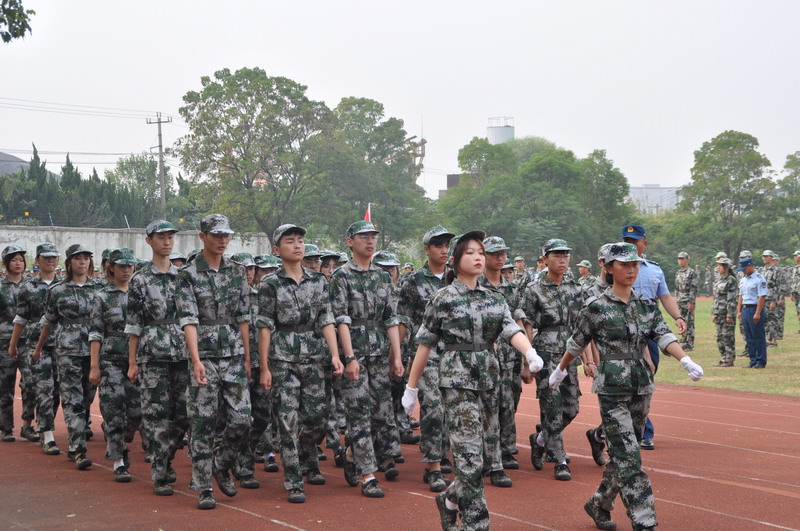 日出水了啊快点使劲动态图