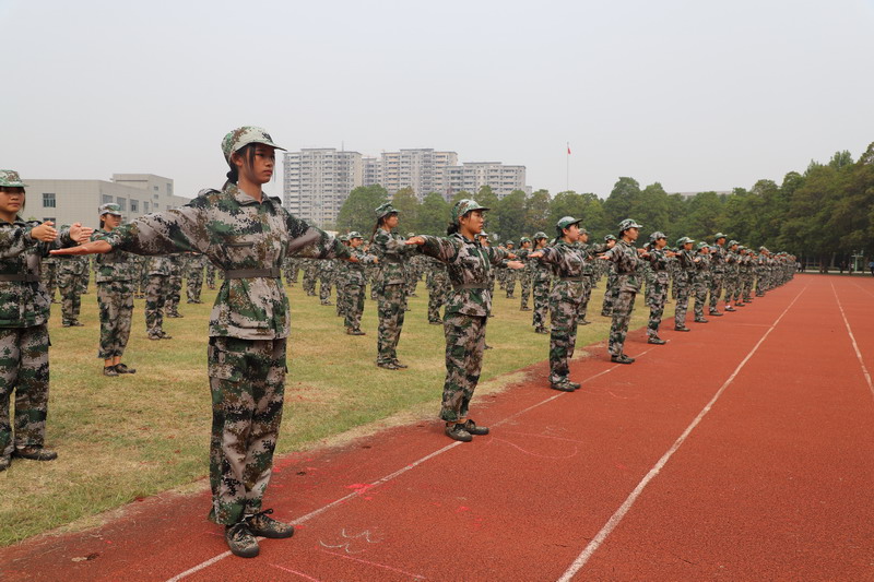 日出水了啊快点使劲动态图