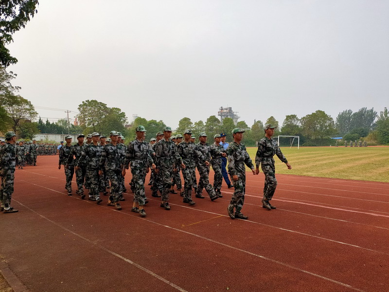 日出水了啊快点使劲动态图