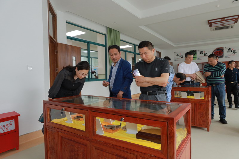 日出水了啊快点使劲动态图