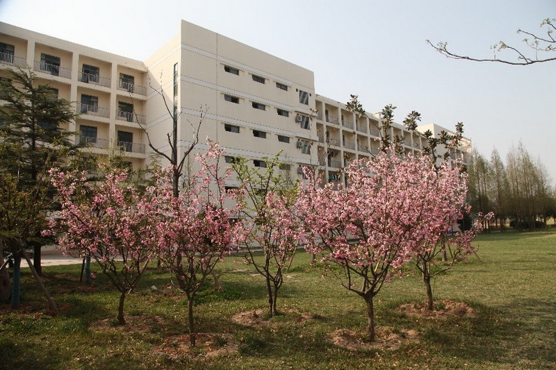 日出水了啊快点使劲动态图