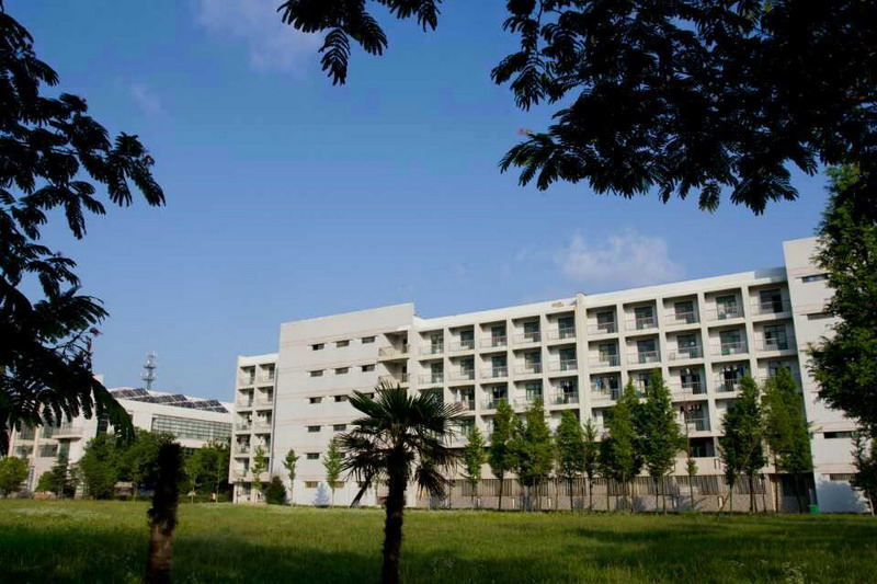 日出水了啊快点使劲动态图