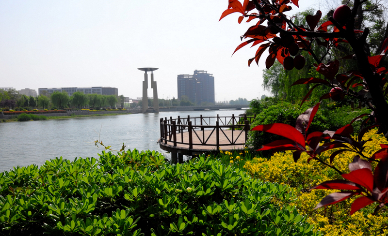 日出水了啊快点使劲动态图