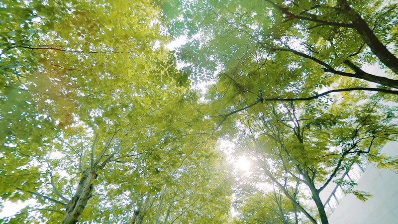 日出水了啊快点使劲动态图