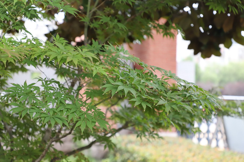 日出水了啊快点使劲动态图