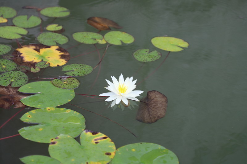 日出水了啊快点使劲动态图