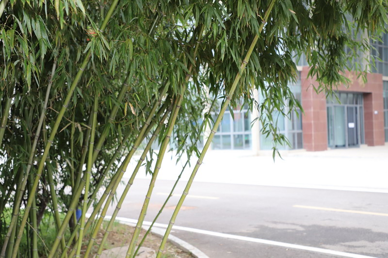 日出水了啊快点使劲动态图