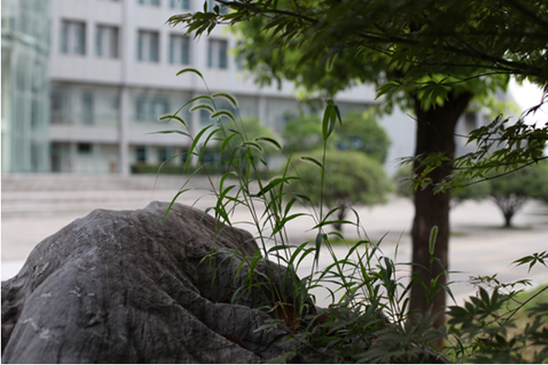 日出水了啊快点使劲动态图