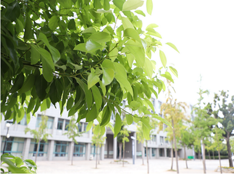 日出水了啊快点使劲动态图