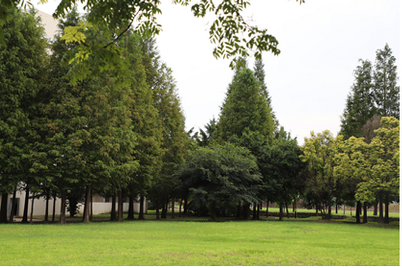 日出水了啊快点使劲动态图