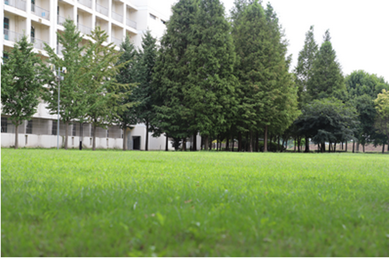 日出水了啊快点使劲动态图