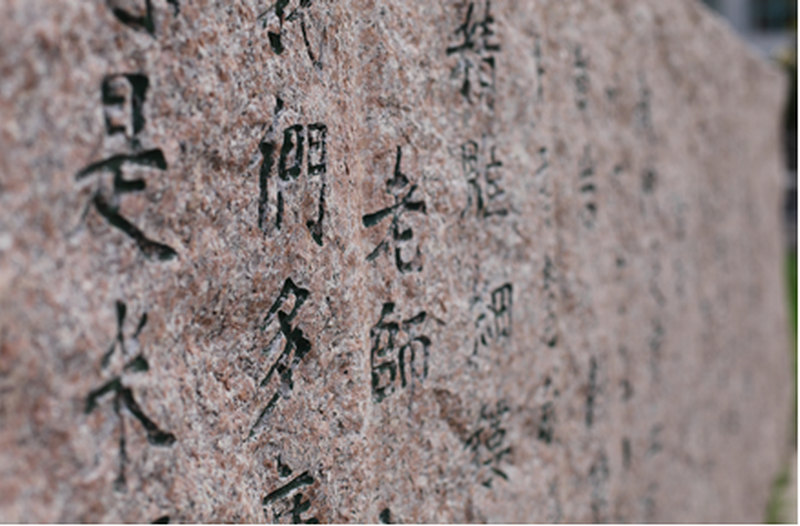 日出水了啊快点使劲动态图