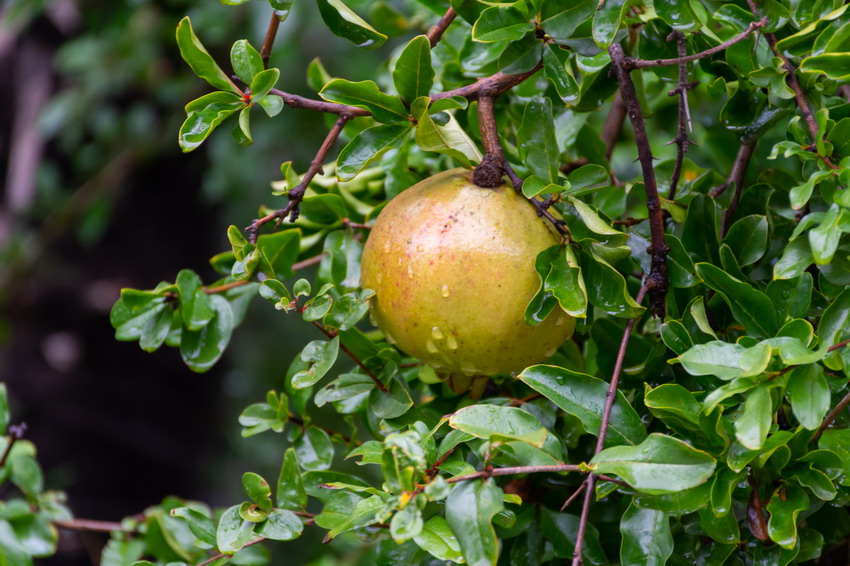 日出水了啊快点使劲动态图