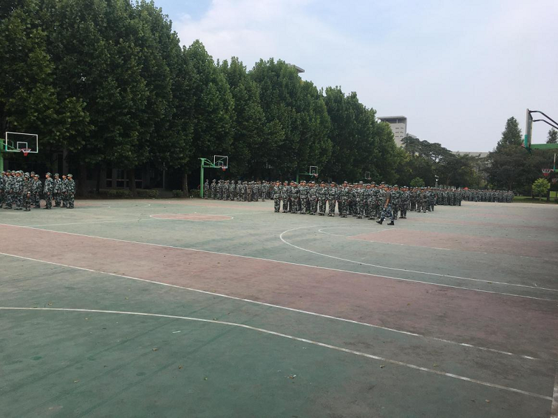 日出水了啊快点使劲动态图