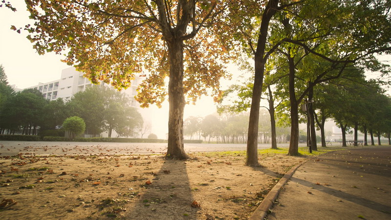 日出水了啊快点使劲动态图