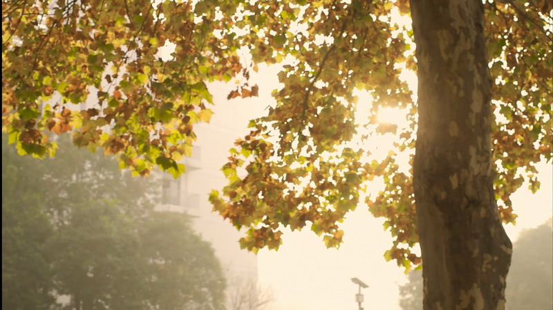 日出水了啊快点使劲动态图
