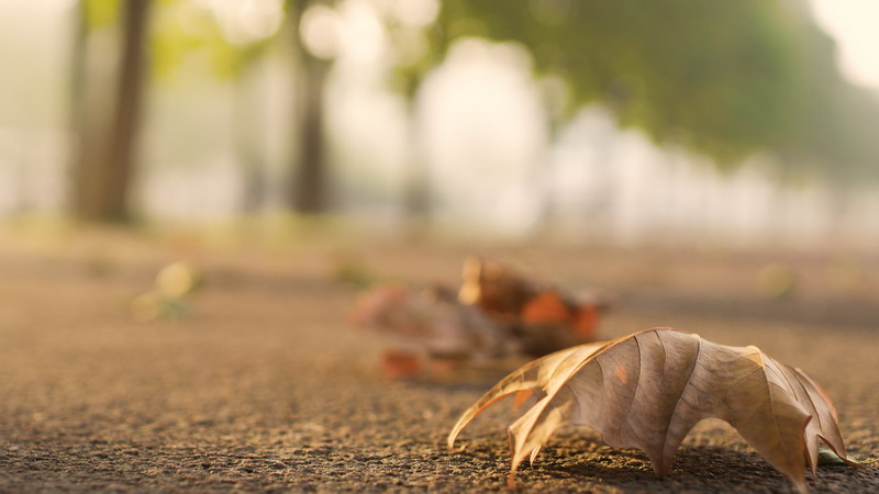 日出水了啊快点使劲动态图