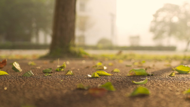 日出水了啊快点使劲动态图