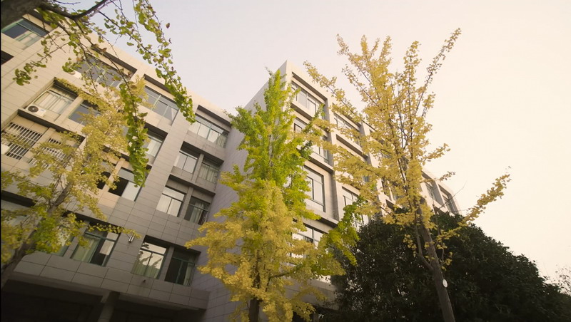 日出水了啊快点使劲动态图