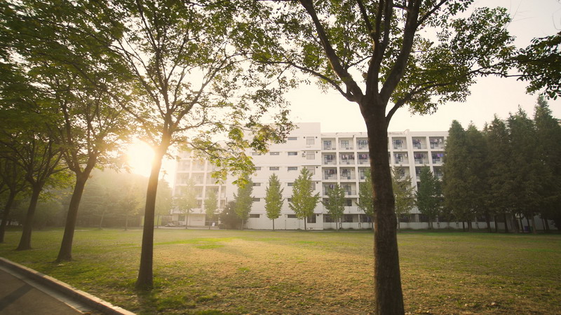 日出水了啊快点使劲动态图