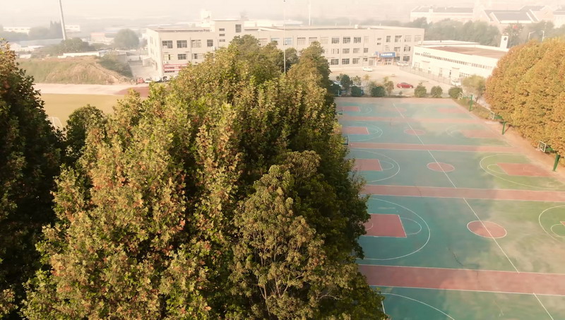 日出水了啊快点使劲动态图