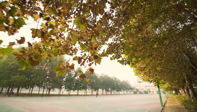 日出水了啊快点使劲动态图