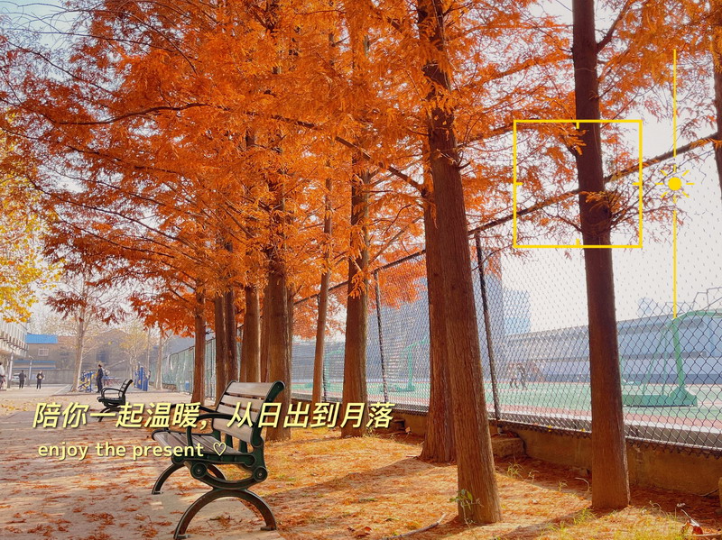 日出水了啊快点使劲动态图