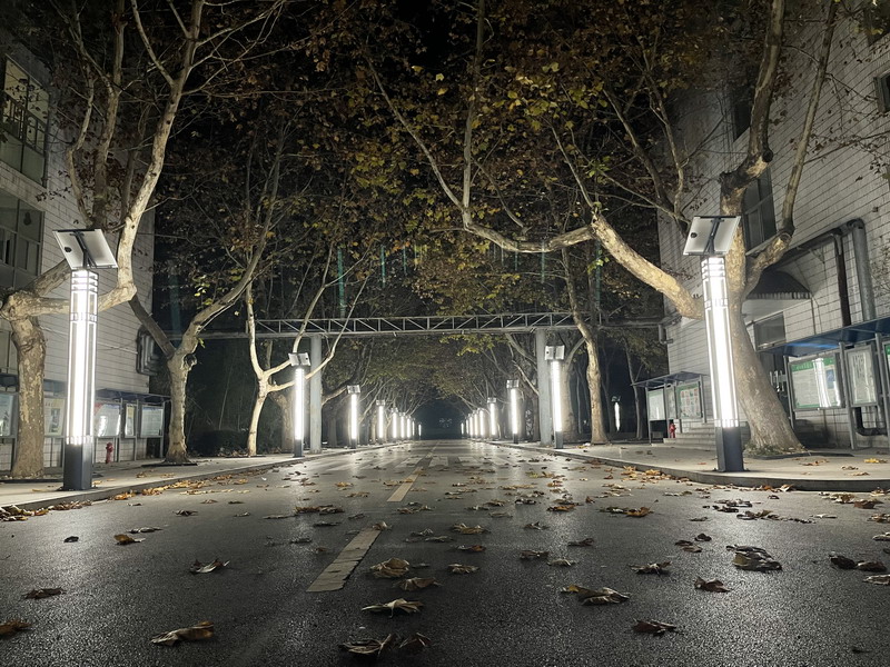 日出水了啊快点使劲动态图