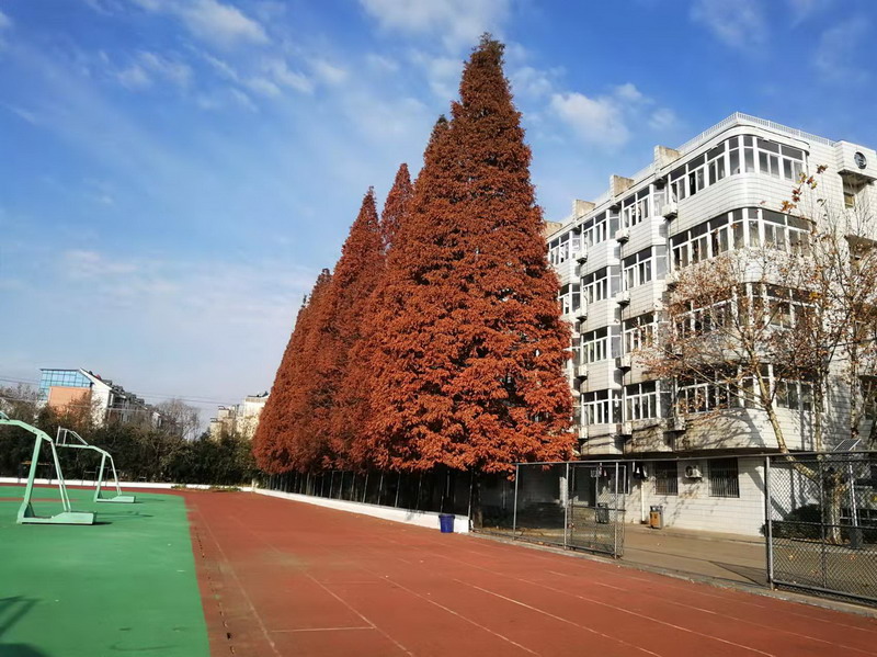 日出水了啊快点使劲动态图