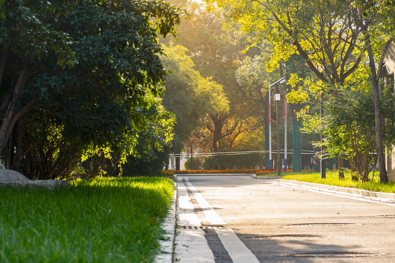 日出水了啊快点使劲动态图