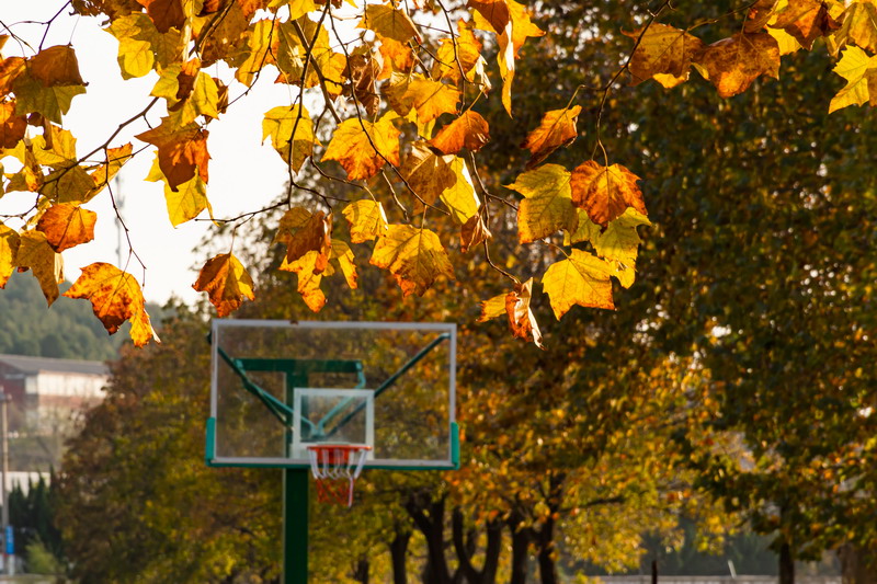 日出水了啊快点使劲动态图