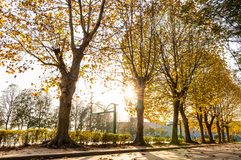 日出水了啊快点使劲动态图