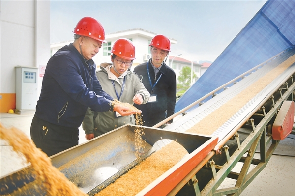 日出水了啊快点使劲动态图