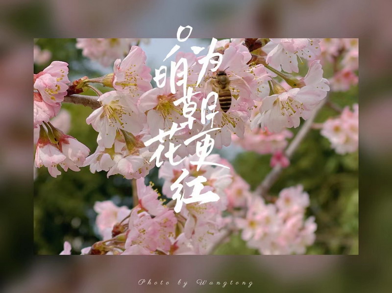 日出水了啊快点使劲动态图