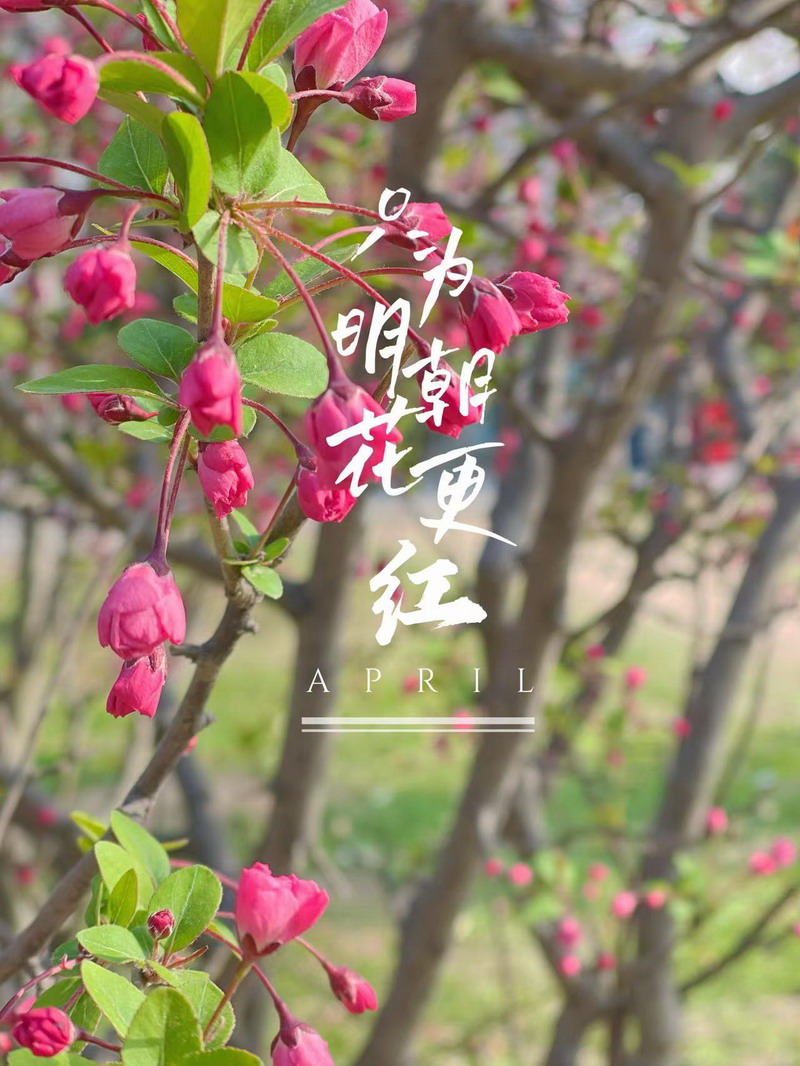 日出水了啊快点使劲动态图